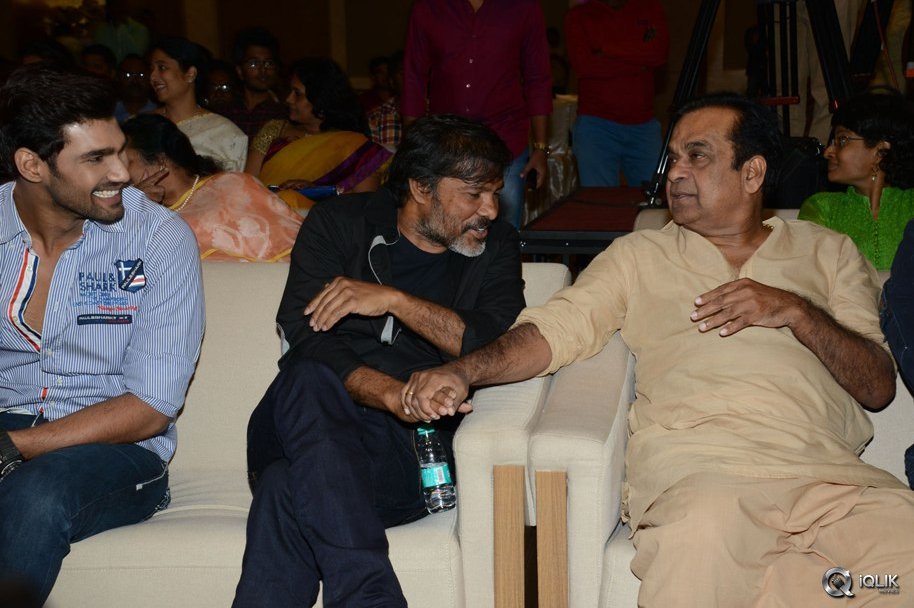 Speedunnodu-Movie-Platinum-Disc-Function